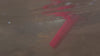 Fisher F-Pulse Waterproof Pulse Induction PinPointer